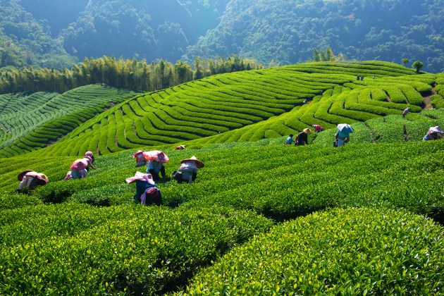 來去農村住一晚！在生活的夾縫，好好呼吸