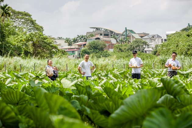 區塊鏈跟周杰倫有關？「去中心化」對你我有什麼好處